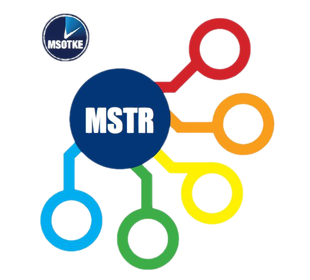 Magyar Sürgősségi Triázsrendszer